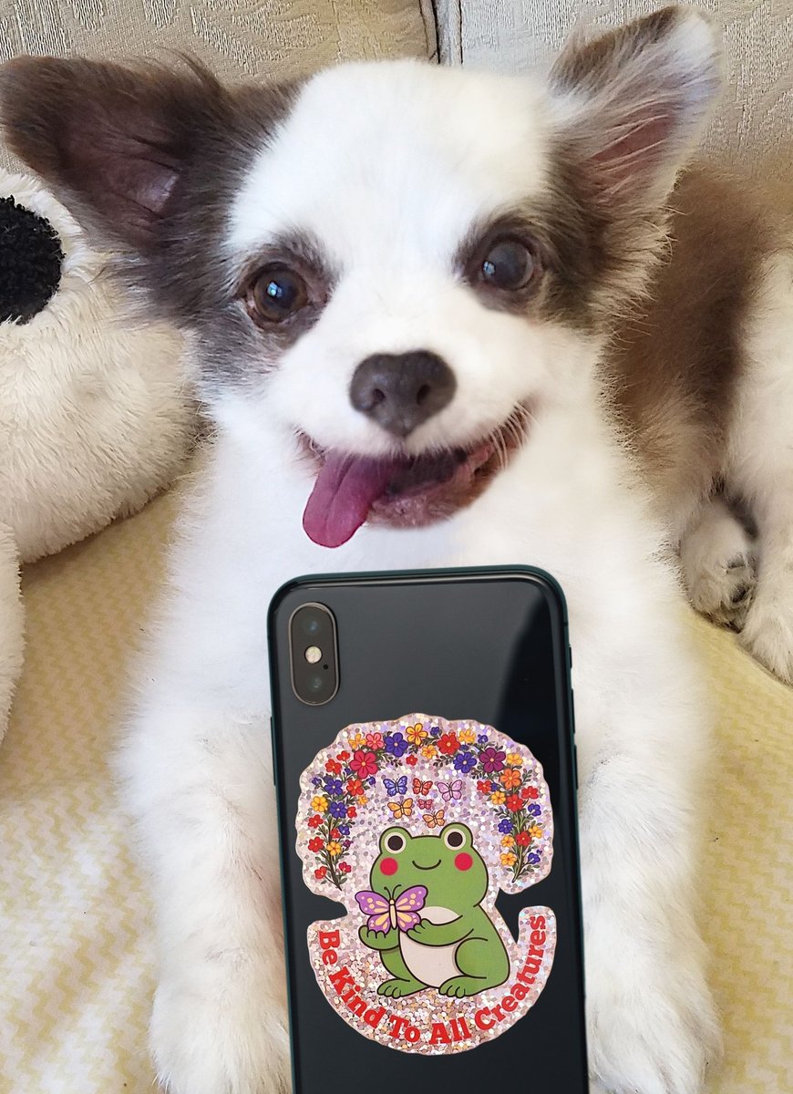 CharliePawsUp tweet picture