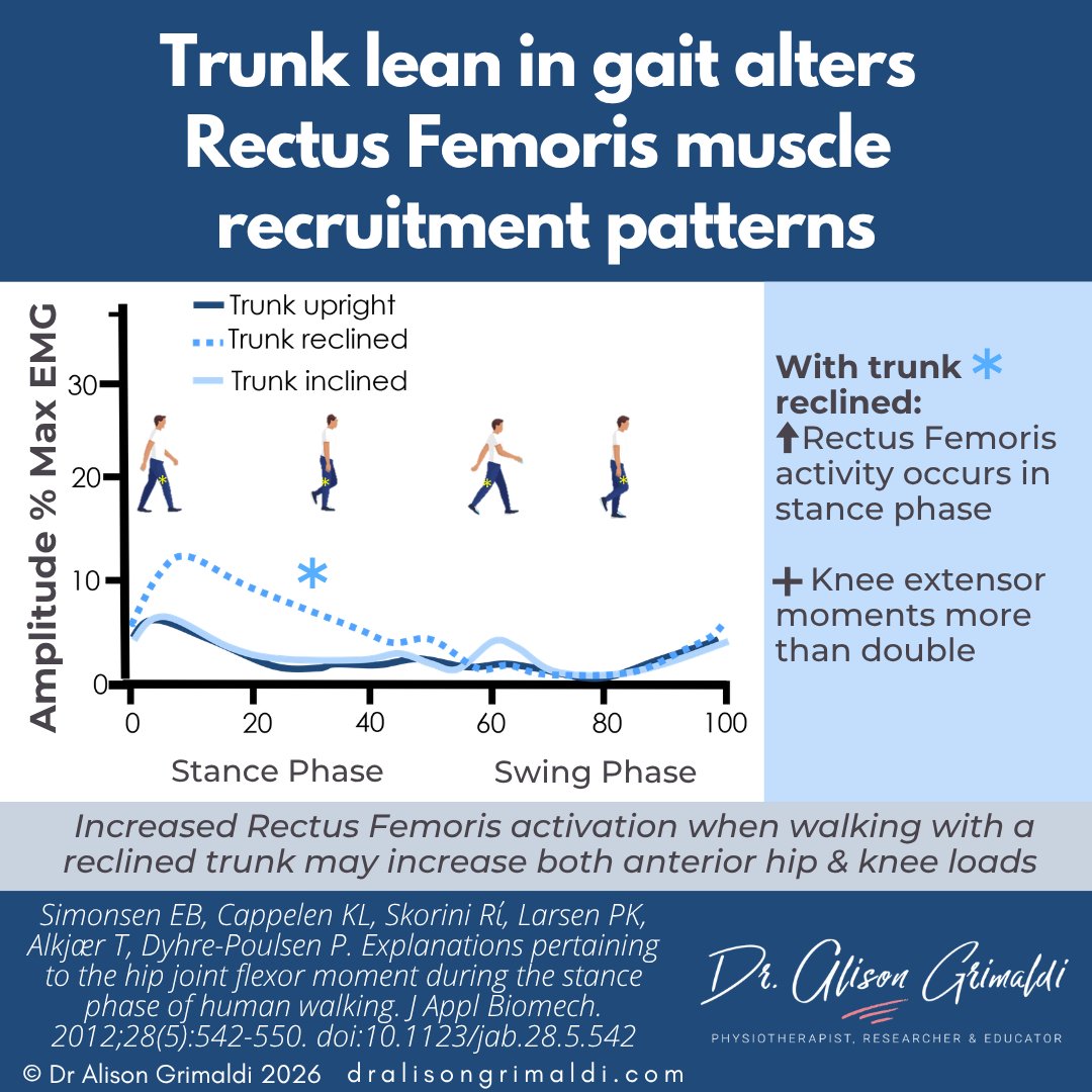 alisongrimaldi's tweet photo. #FactFriday Trunk lean alters Rec Fem in gait. Reclined: ↑ stance activity to control posterior COM. Knee extensor moments x 2 greater. Reclined trunk → ↑ anterior hip &amp; knee loads. Address trunk position in gait training.

https://t.co/LcQ4hGElIp https://t.co/UklqrfCS31