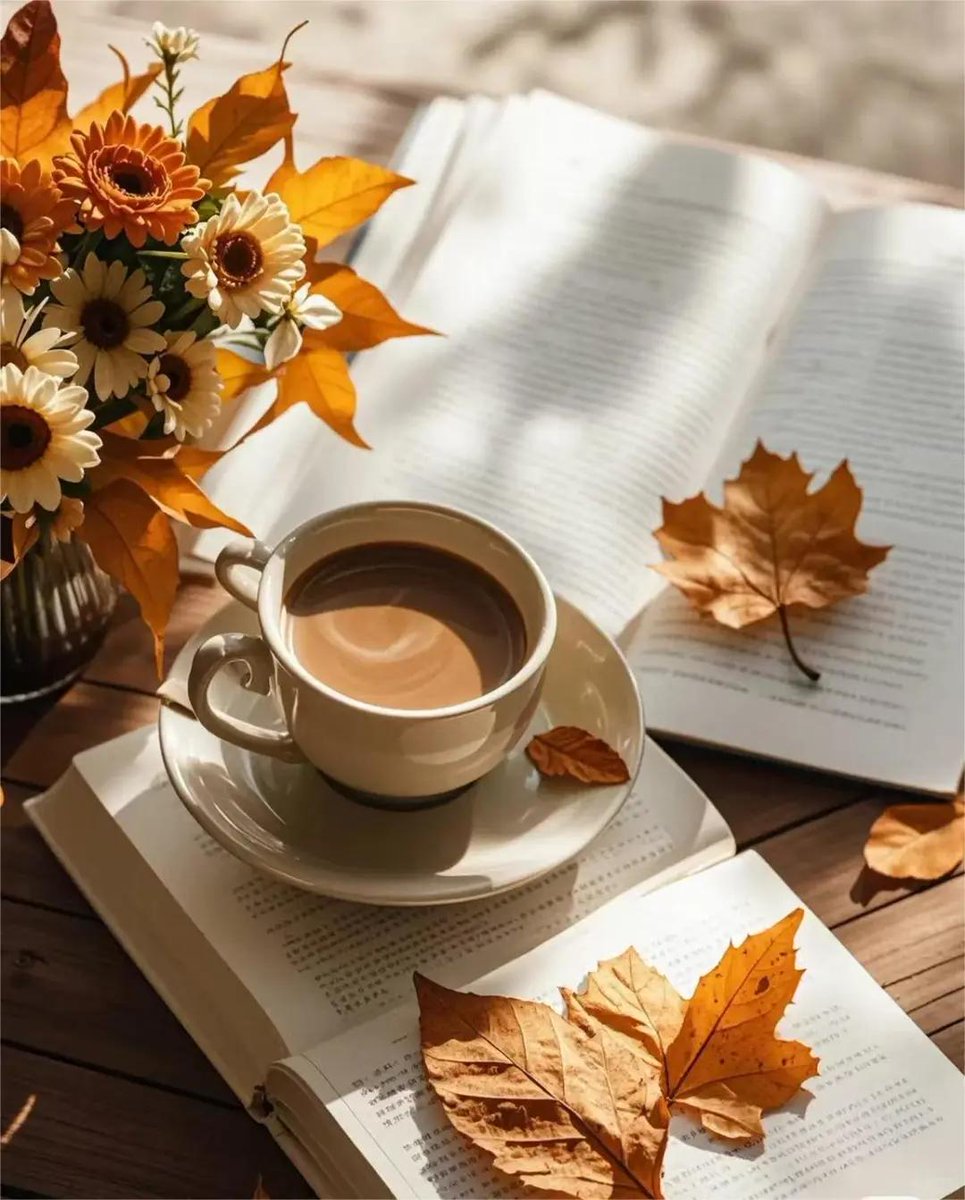 j8007b's tweet photo. Just had the perfect rainy afternoon coffee with my old book—small moments that make today feel warm and so right. https://t.co/lhpjwYDXMF