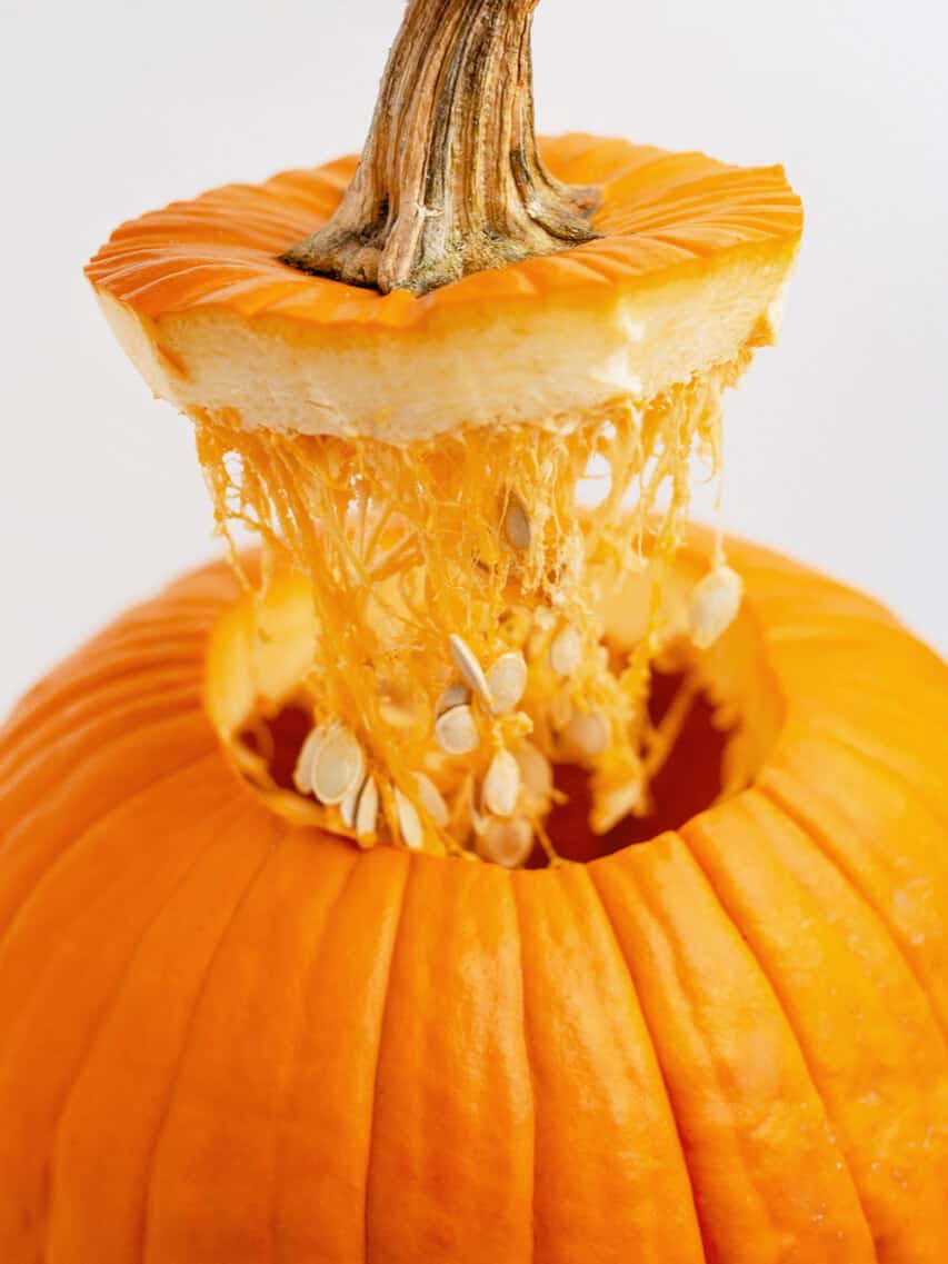 BizkiitOF's tweet photo. @Lewdysummy time to fuck a pumpkin https://t.co/LvfSCM89yH