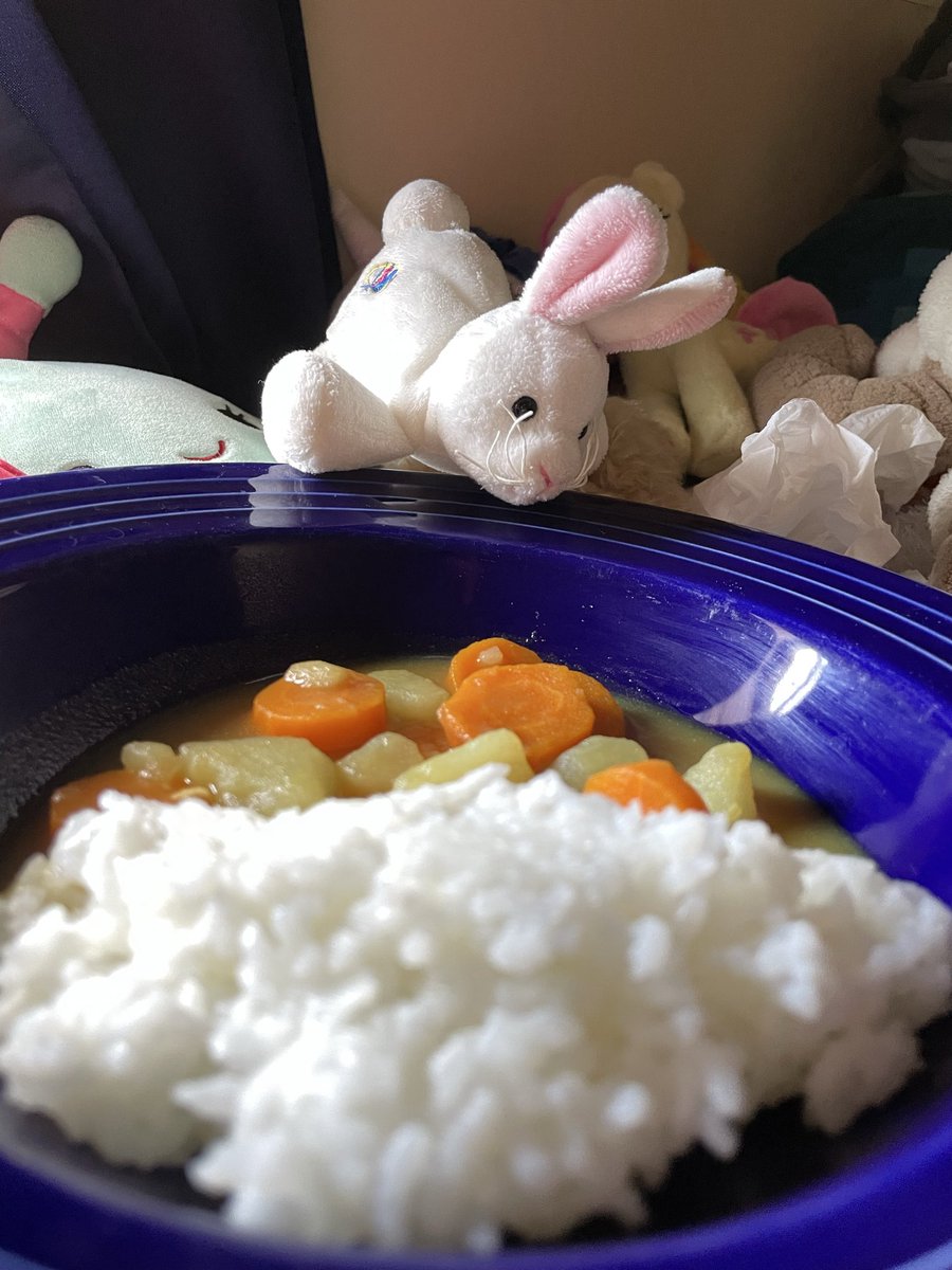 suzymcdoozy's tweet photo. my curry is too watery so i know now for next time (｀・ω・´) https://t.co/Z8sEW2sWCB