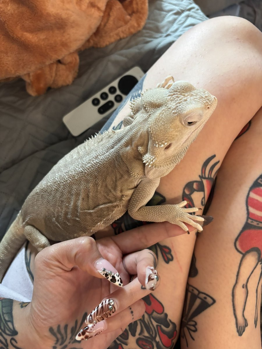 halfbones's tweet photo. his new habit is to put his foot on my finger like we are holding hands https://t.co/FpsNyJgFGL