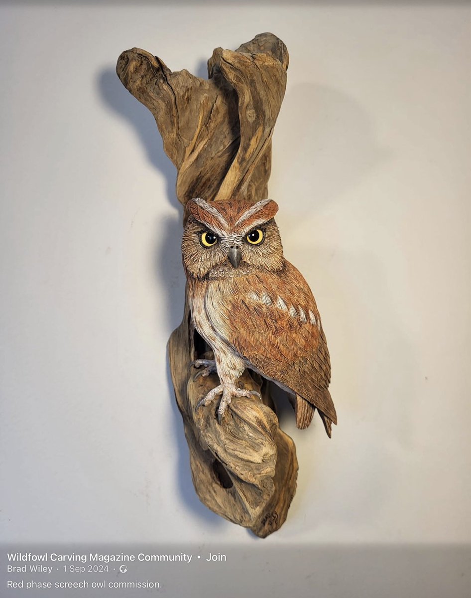 wrwassociation's tweet photo. Great collection of hand carved/turned/chainsaw’n wood art today https://t.co/MOM9oZHg0F
