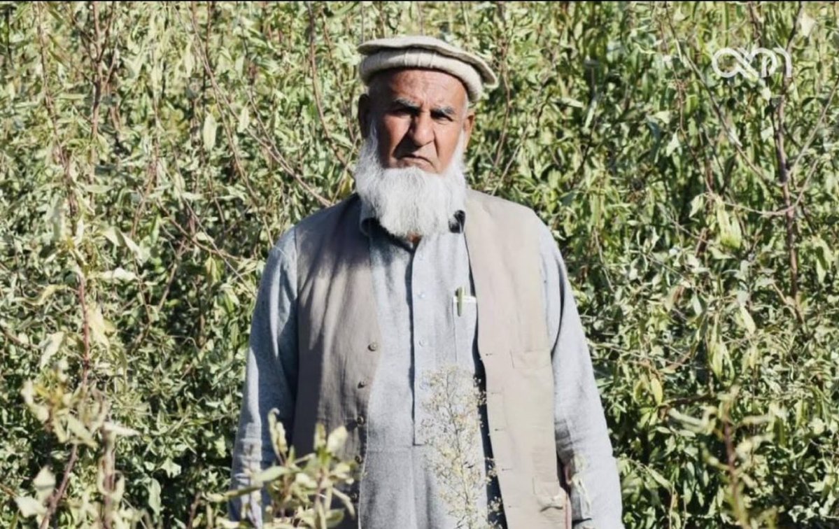 HaseebullahSta's tweet photo. انا لله و انا الیه راجعون

د حاجي صاحب ببرک د شهادت په خبر ډېر خواشینی شوم رښتیا هم ډېر دردوونکی خبر و

هغه وختونه مې نه هېریږي چې حاجي صاحب ببرک به د خلکو د ستونزو او قومي مسایلو په اړه ولایتي شورا ته راتلو ډېر مهربان خاکسار او د ښه اخلاقو خاوندو

په دې ستر غم کې د شهید له کورنۍ خپلوانو دوستانو او د احمدزي دروند قوم ټولو مشرانو او درنو خلکو ته د زړه له کومې تسلیت وایم الله تعالی دې یې شهادت قبول کړي جنت الفردوس دې ځای شي د شهید کورنۍ دوستانودلوګر مجاهد او شریفو خلکو ته د زړه صبر د لوی الله ج نه غواړم.

آمین یا رب العالمین