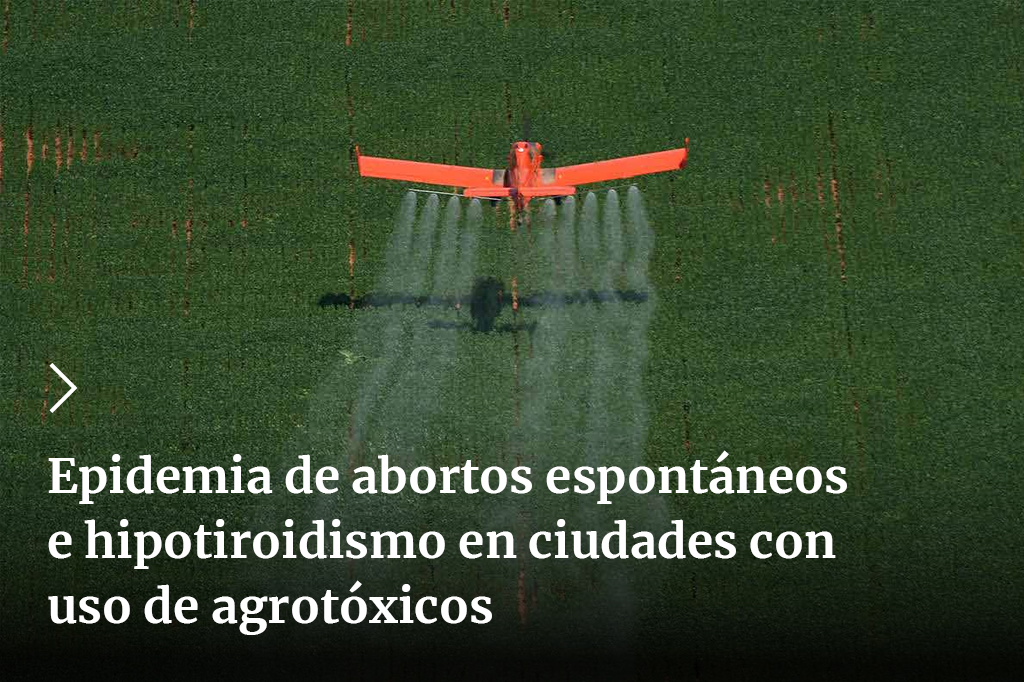 Tierra_Viva_'s tweet photo. Nueve pueblos fumigados de Santa Fe evidenciaron un aumento alarmante de abortos espontáneos y de casos de hipotiroidismo. Un estudio único en su tipo, de @SaludSAmbiental, mostró nuevamente el impacto de los agrotóxicos en la salud. ☠️‼️
✍️@ArandaDario
➡️https://t.co/UeGZUDwhbA https://t.co/YE0uEgObyB