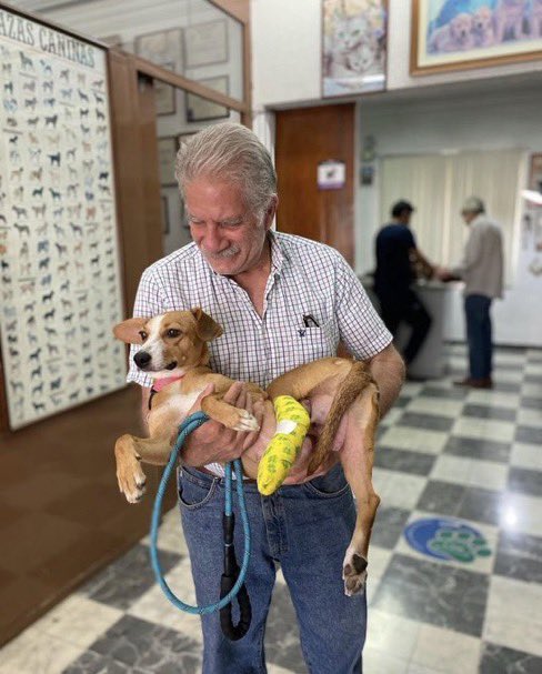 Alina_Gag's tweet photo. En esta casa vivimos mi papá (68 años), yo y más de 25 animales que adoptamos. Todos rescatados de condiciones horribles. Y en este momento hay 6 gatos, un tlacuache y 4 perros en hogar temporal

Diario sufrimos un montón porque del techo cae AGUA cada vez que llueve. No podemos https://t.co/tzwFIV79bo