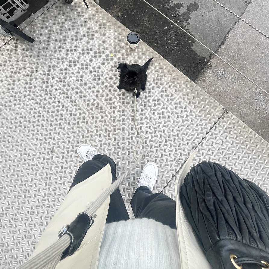 penelopehaller5's tweet photo. Small, courageous, adorable. https://t.co/TeKU5jI4DC