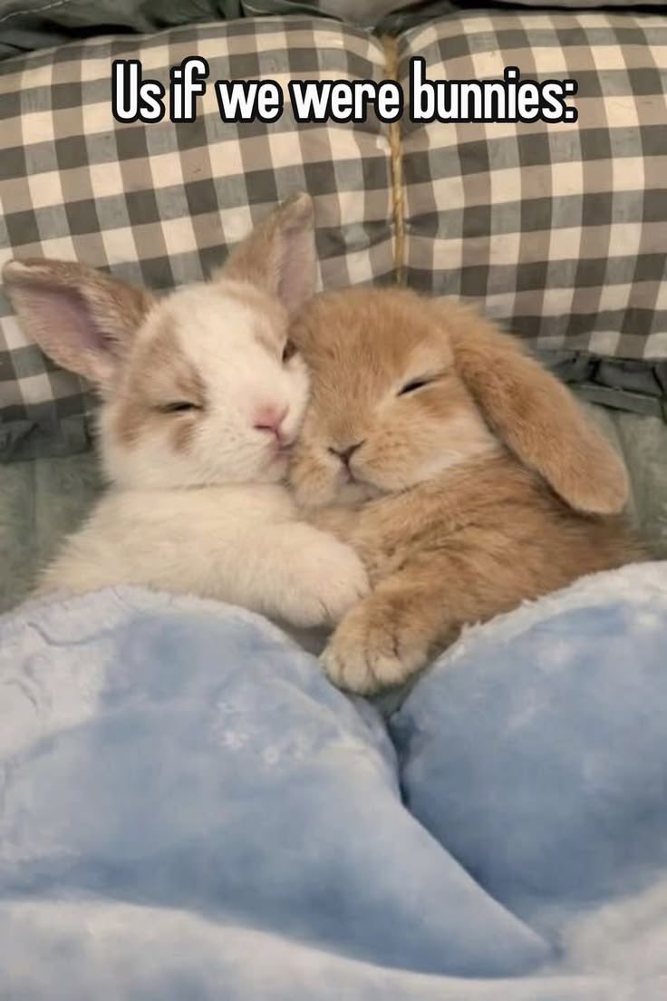 Bratty_BriRP's tweet photo. @BunnyBriDaddy https://t.co/KVOT5WXDjs