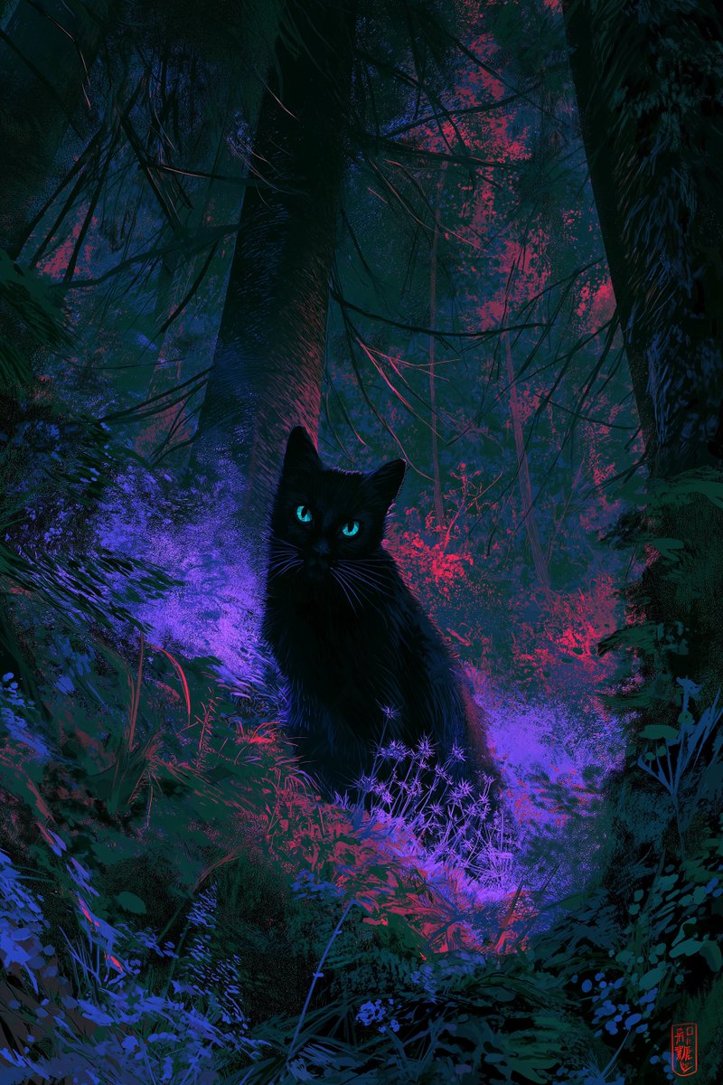 Imaginary__Cat's tweet photo. https://t.co/wP7OjDdQ87