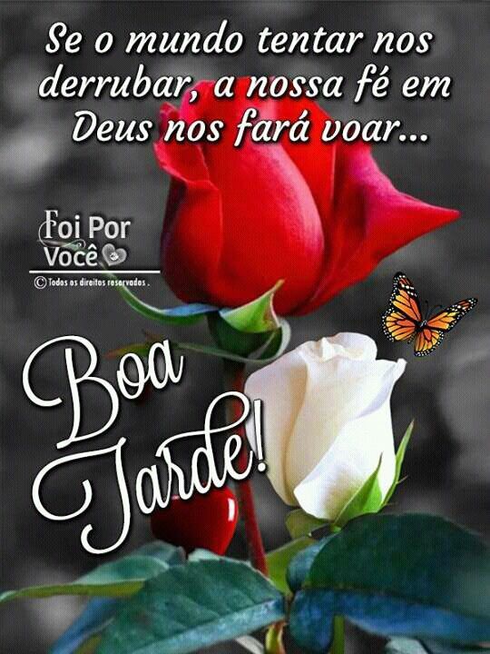 verafrde's tweet photo. @jornalistavitor @CharlieHun86090 @RaiosLuminosos @walterbitencour @MachadoDarlon @roseflourish_13 @NillWarrioy5lh @11111Mz @SheikhHamd3dib @tottustu @tesla_general @saleh_alknani @diazugilberto @filmes_03 @Escritor4 @Elverojaguar @CUSTER85 @Alvaro_de_Faria Flores do meu jardim... Belo entardecer. https://t.co/zzbeaZaybG