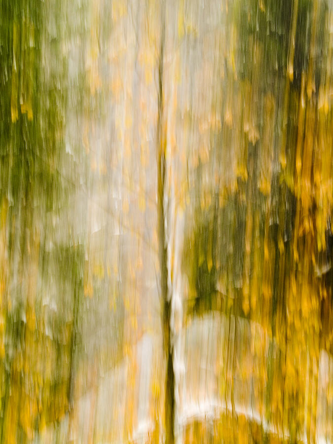 the_gallaghers1's tweet photo. Golden Falls
https://t.co/Rmn4KTW95H
#GoldenFalls #BillGallagherPhotography #Yosemite #YosemiteValley #Dogwwod #DogwoodAbstract #InCameraMotion #WallArt #GiftIDeas https://t.co/v0uBXdBf7h