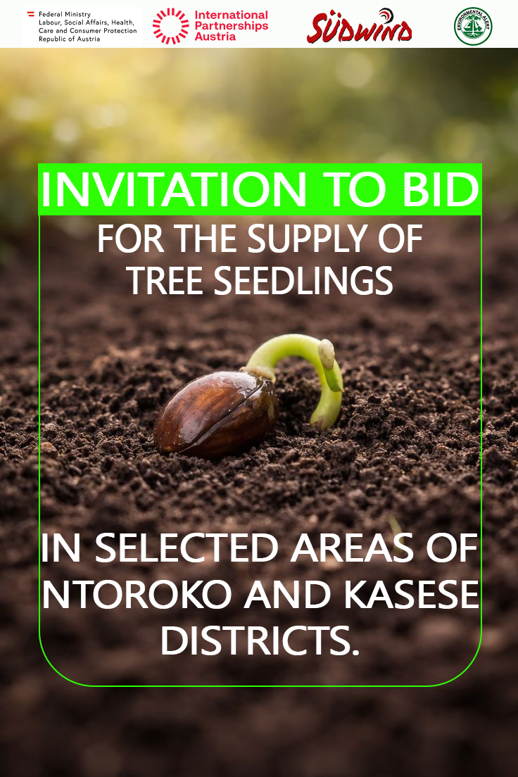 Env_Alert's tweet photo. The rains are here, and now is the time we need you the most!

Send in your Expression of Interest (EOI) directly to us for the supply of tree seedlings in Ntoroko and Kasese Districts.

Click on the link for more information.
https://t.co/F0iuKUJl7o https://t.co/zaXjNy1CMF