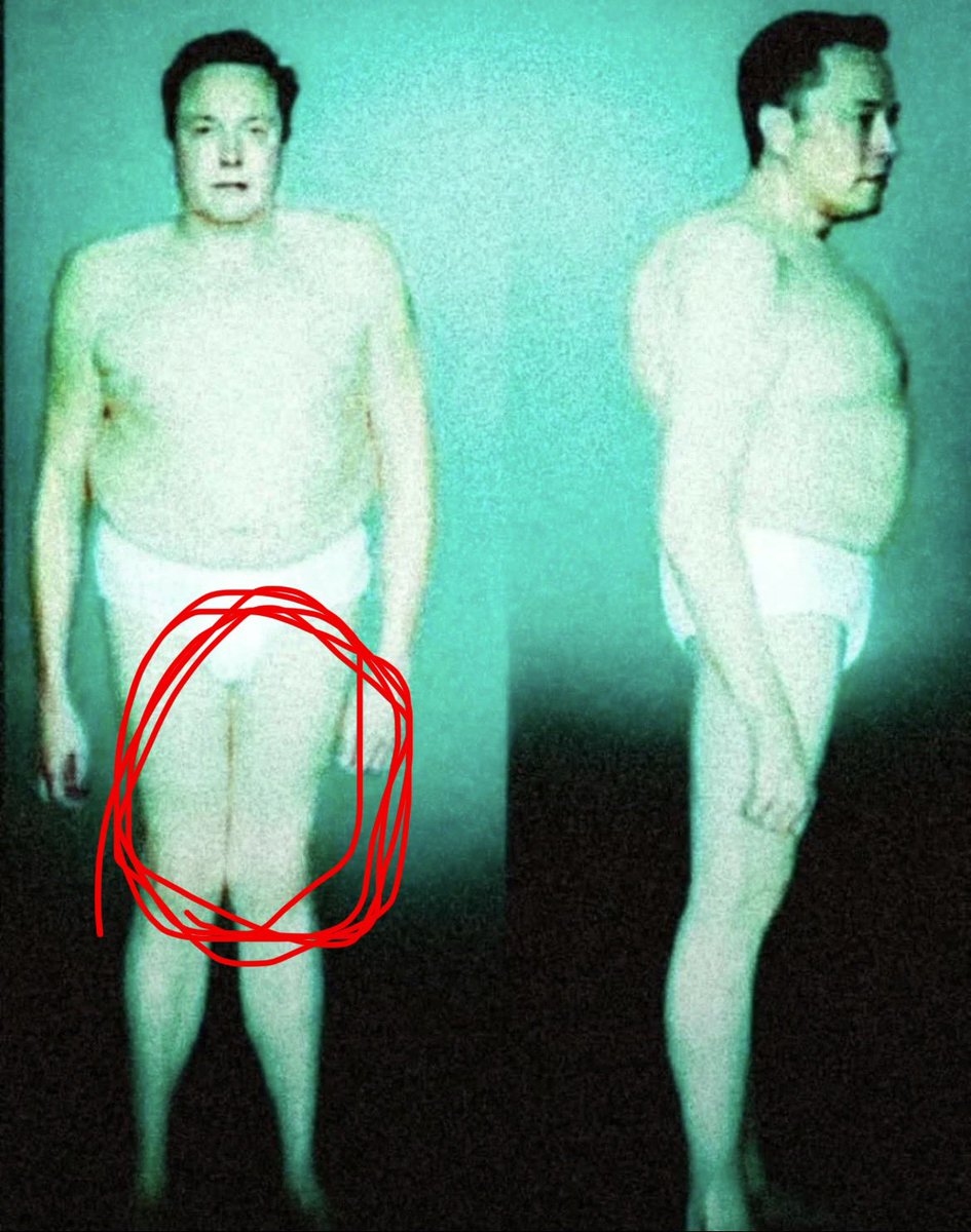 Su0latarkastaja's tweet photo. Omggg elon thighgapspo👀👀👀okay girl we see the gap 
#edrtwt #ricecaketwt https://t.co/kTDD0KP5I1