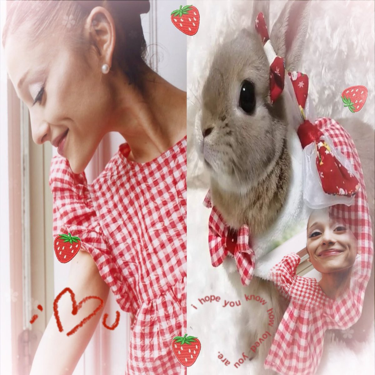 needydjo's tweet photo. strawberry bunny 🍓🐰⋆˚꩜｡ !! https://t.co/dE3LCsSrjO