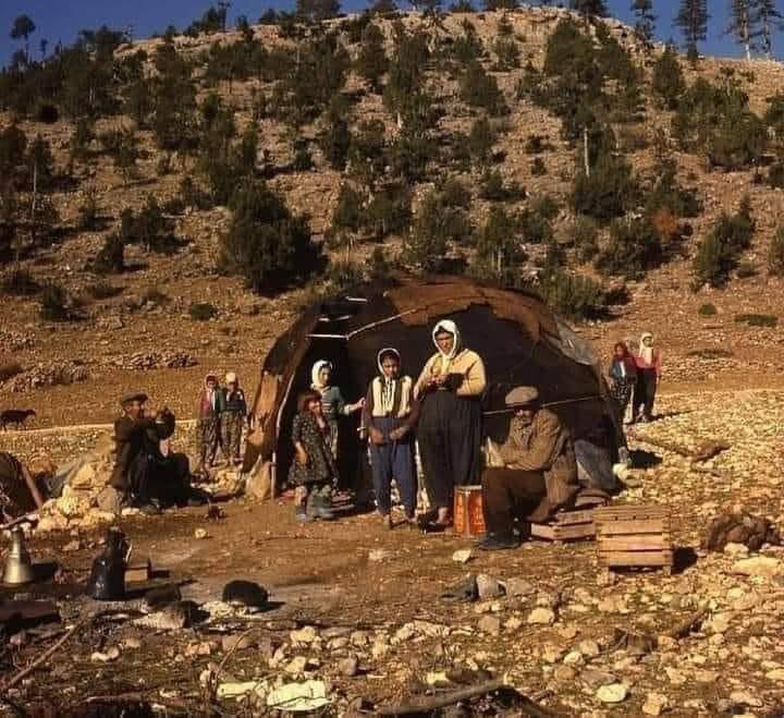 Gezginbodrumlu's tweet photo. KÜRTLEŞEN TÜRKLER...
 (Yaşar Kemal'in Ağzından)

 Diyarbakır ovasını dolaşırken tuhaf bir olayla karşılaştım...
 Diyarbakır'ın Köprü köyünde bir öğretmenle tanıştım.
 Öğretmen 1920'lerde Balkanlardan göç etmiş, Köprü köyünü kurmuş, köyünün öğretmeniydi. Çok güzel Kürtçe konuşuyordu.
 "Kürt müsün?" 
diye sordum.
  "Yok, göçmenim" 
dedi.
Köye girdik, hep Kürtçe konuşuyorlardı.
Türkçe biliyorlardı da yarım yamalak.
1865 Kozanoğlu başkaldırısında, yenilgiden sonra Türkmenler, dediklerine göre binlerce çadır Diyarbakır'a sürülmüşlerdi.
 "Nerede bunlar?" 
diye öğretmene sordum.
"Var, dedi, istersen gidelim, bunlar sekiz köy hiç Kürtçe bilmezler..."
 Öğretmenle birlikte Büyük Kadıköyü'ne gittik. 
Gerçekten büyük bir köydü. 
Köylüler başımıza biriktiler. 
Bunlar Avşar Türkmenleriydi. 
Ağızları da tıpkı bizim Torosların Avşarlarının ağızlarıydı.

 Sekiz köydüler, Kürtçe bilip bilmediklerini sordum, bilmiyorlardı.
 Başkaldırıdan sonra binlerce Avşar sürülmüştü Diyarbakır'a.
"Bize Çukurova'da söylediklerine göre Otuz bin çadır gönderilmişti buralara.
 Haydi, On bin çadır olsun, en aşağı yirmi köy eder, ötekiler nerede?" 
dedim.
Bir yaşlı adam,
 "Onların hepsi Kürt oldu" dedi.
  "Siz niçin olmadınız?" 
diye sordum.
"Bizler Aleviyiz" dedi yaşlı adam.
"Ne var bunda?" 
dedim.
 "Şu var ki, dedi yaşlı adam, biz Sünni Kürtlerden kız alıp vermeyiz.
  Öteki Kürt olan Avşarların hepsi Sünniydi. 
Kürtlerden kız alıp verdiler, şimdi sorarsan hiçbirisi Avşar olduğunu söyleyemez, 
Türkçe de bilmezler.

  "Bize söylediklerine göre Sünni Avşarlar büyük çoğunlukmuş, belki bizim on mislimiz kadar" dedi.
 Ve sekiz Avşar köyünü öğretmenle dolaştık. 
Birkaç Avşar ağıdı derledim oralardan.
 Tıpkı Toros Avşarlarının ağıtlarıydı.

XVI yüzyılın Osmanlı kayıtlarında TÜRKMEN olarak adı geçen ve bugün kendini Kürt sanan bazı aşiretler:
Barzan Aşireti,
Hörmekli Aşireti,
Karaballı Aşireti,
Pınarlı Aşireti,
Kubatlı Aşireti,
Delibudak Oymağı,
Karagüne Aşireti,
Şıhbızın Aşireti,
Şarran Aşireti ,
Aykut Oymağı,
Çemişgezeklü Aşireti,
Kureyşan Aşireti,
Beskan Aşireti,
Milli Aşireti,
Modanlı Aşireti,
Şavak Aşireti,
Abbasan Aşireti,
Ağuçan Aşireti,
Bekiran  Aşireti,
Zerikan Aşireti,
Karakeçili Aşireti,
Avşarlu Aşireti,
Begdili Aşireti,
Hınıslu Aşireti,
Küresinli Aşireti,
Lek Aşireti,
Batıkan Aşireti,
Herkili Aşireti,
Kılıçlı Aşireti 
Mukri Aşireti,
Türkan Aşireti,
Şadıllı Aşireti,
Çapanoğlu Aşireti,
Ertuşi Aşireti,
Rışvan Aşireti,
Burukan Aşireti,
Babat Aşireti,
Dersimli Aşireti,
Karaçoban Aşireti,
Tanas Aşireti,
İzzeddinli Aşireti.

Osmanlı arşivlerinde Türkmen olarak kaydı bulunan bir çok aşiret baskı, etnik dışlanmışlık, aşırı vergi alınması gibi etkilerde kalarak kendini Kürt saymıştır. 
Çünkü Osmanlıda Türkmenler Alevi olduğu için ağır vergiye tabi tutulur hem de askerler Türkmenlerden toplanırdı.

Kürtler ise Sünni idi. Kürtler askerlikten ve de vergiden muaf idi.

Acı ama maalesef gerçek budur.  "Kürtleşen Türkmen Aşiretleri" kitabını okumanızı tasviye ederim.
 Tarihçi  Halaçoğlu'nun tespitlerine göre de, yukarıda adı geçen aşiretlerin tamamı Türk'tür.