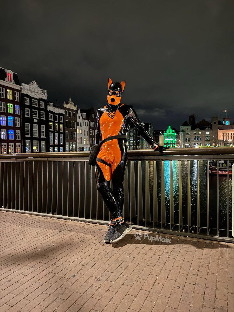 PupMatic's tweet photo. Just a shiny puppy enjoying amsterdam at night with friends!

📸: Buntline https://t.co/AnmiCpJpJX
