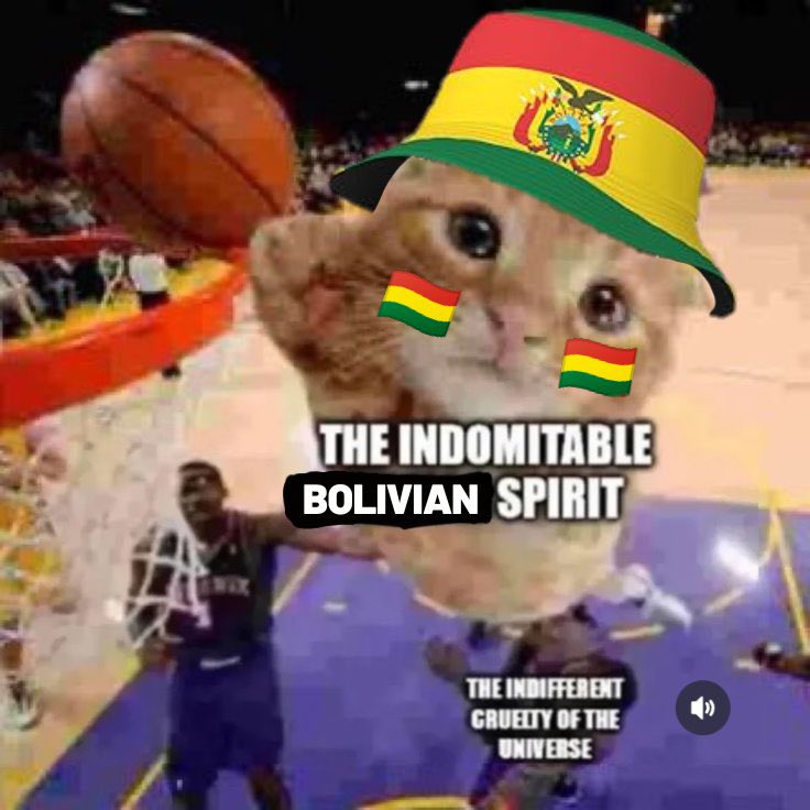 nepobaby21's tweet photo. VIVA BOLIVIA https://t.co/fDacnMh2L7
