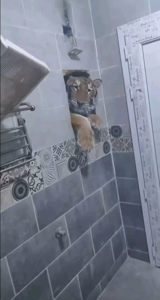 senshi_real's tweet photo. UM LEÃO INVADIU MEU BANHEIRO OQ EU FACO https://t.co/dVRjO5UQNR
