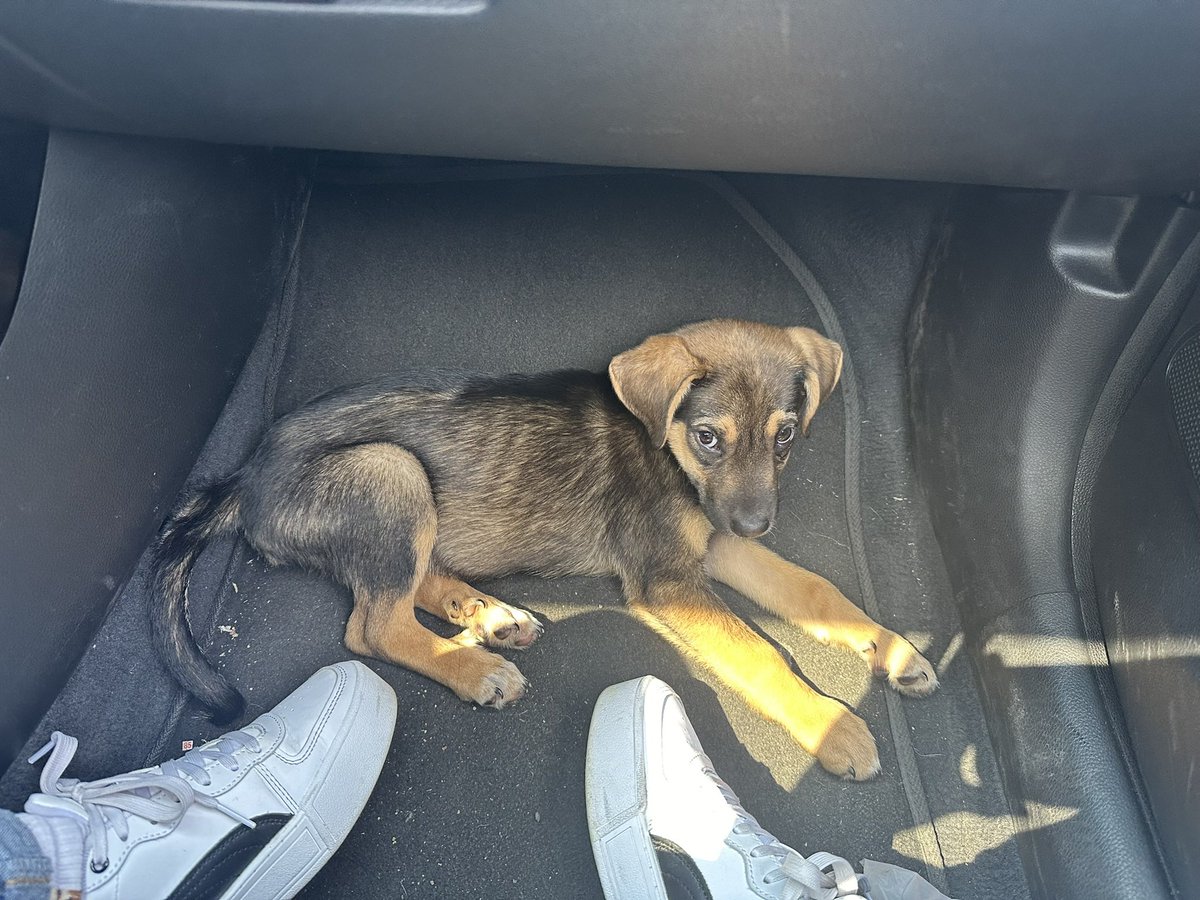 18Kjc_'s tweet photo. La primera que le saqué // la última de el viajando 🥰 https://t.co/eo0p0yxegm