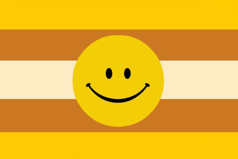 4nn0y1n9817ch's tweet photo. A flag for people who are only attracted to Verity or its variations. It's called... sexuality https://t.co/c8dSlUmUp3