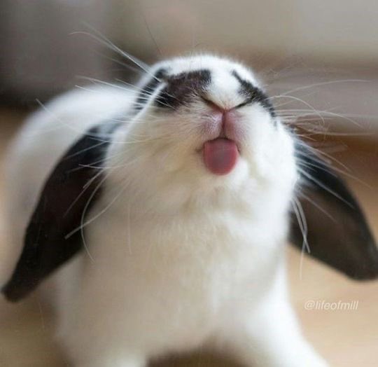 _blueber_ry's tweet photo. @TR4GICAFFA1R gulp…smoothie stuff???? https://t.co/P8Rph76uHx