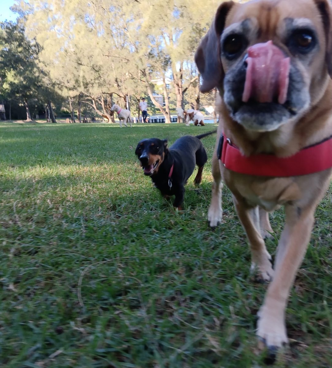 samanthatobtmt's tweet photo. Enjoying the weather! https://t.co/0hN3poaLq5