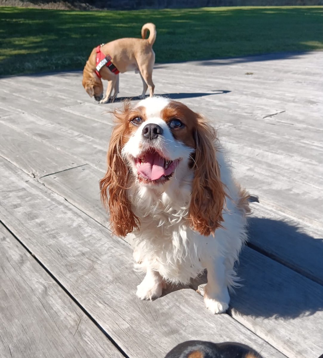 samanthatobtmt's tweet photo. Enjoying the weather! https://t.co/0hN3poaLq5