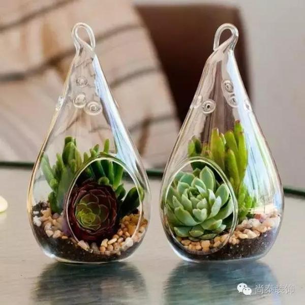 ninit070183's tweet photo. [Just spent 10 mins staring at the office plant u0026 now my to-do list feels way less scary. Win-win for this random Tuesday.]， https://t.co/aoWBvV9chP
