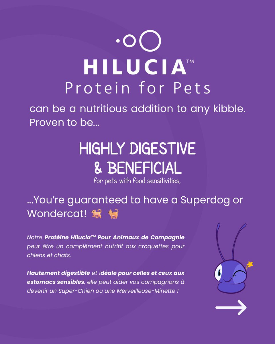 sofiathompsonw5's tweet photo. Many say protein is for building muscle—and they’re not wrong! But for our dogs and cats, it’s about more than that. Lucia is here to explain why our protein is so beneficial. Sit back and enjoy. https://t.co/H1P7LkIdFB