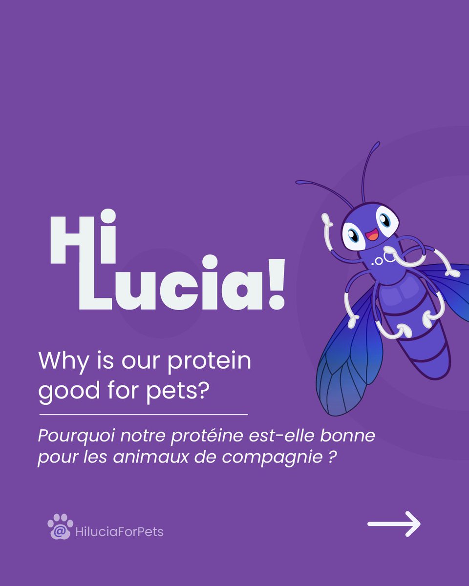 sofiathompsonw5's tweet photo. Many say protein is for building muscle—and they’re not wrong! But for our dogs and cats, it’s about more than that. Lucia is here to explain why our protein is so beneficial. Sit back and enjoy. https://t.co/H1P7LkIdFB