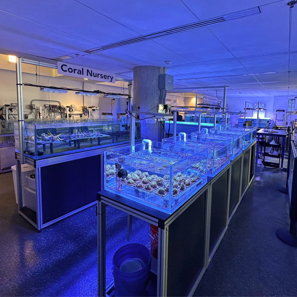 FrostScience's tweet photo. Our newly renovated Marine Conservation WetLab is here! 🪸 Get up close with corals and jellies, meet our scientists and learn about the work being done to protect Florida’s Coral Reef. See it for yourself on Level 5! 🌊 https://t.co/5wQovAPhOi