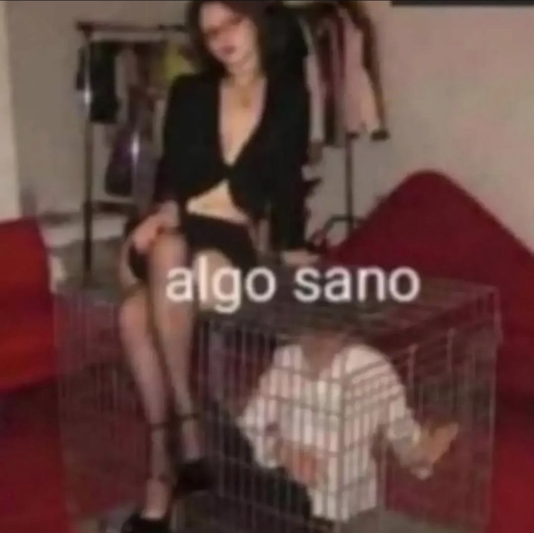 wikipistacho's tweet photo. https://t.co/0owNt5VjKY