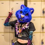 Photo by That Blue Tiger Thing (@ExtroTheTiger)