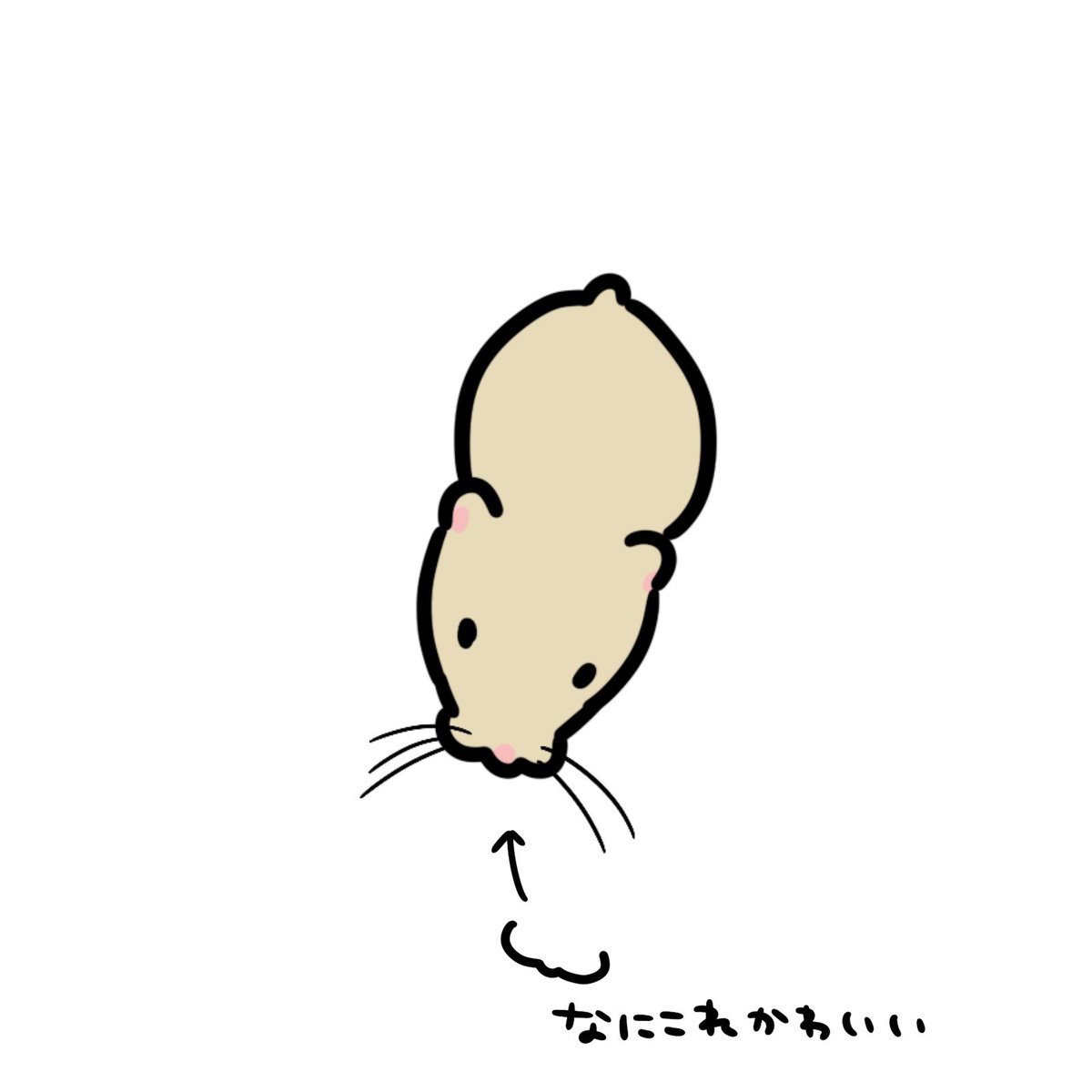 ame__xc's tweet photo. ハムちゃんやネズミちゃんの可愛いとこ
(最近気づいた) https://t.co/XCFfWz6GB3