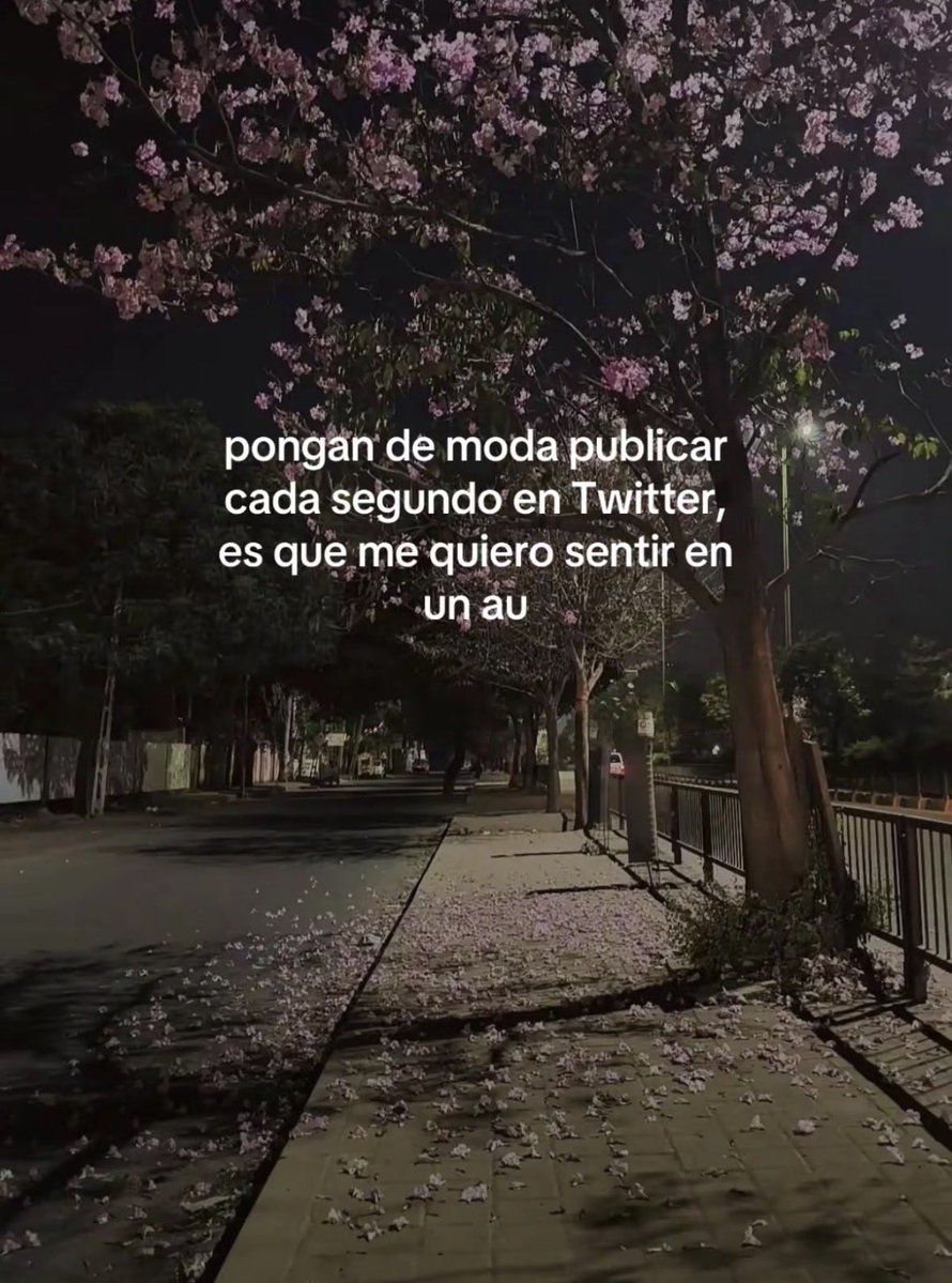 Silvanaaflores_'s tweet photo. https://t.co/Hw1G5RWUqp