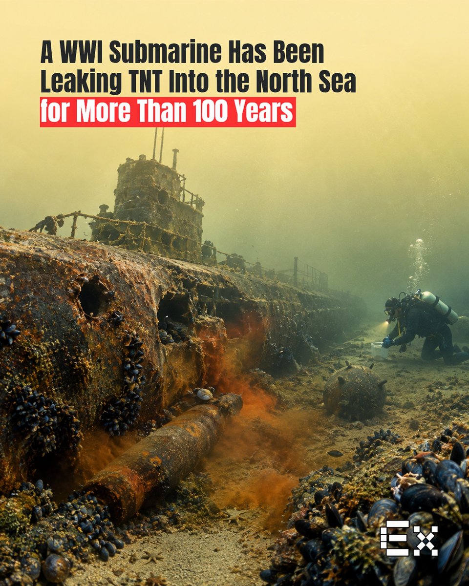 ElementiaX's tweet photo. A WWI submarine is still leaking explosives into the sea—109 years later. 🌊⚠️

Scientists found traces of TNT from the 1917 German submarine SM UC-30 in surrounding seawater, seabed and marine life. Nearby mussels showed signs of oxidative stress and metabolic disruption. https://t.co/ui5538t1N4