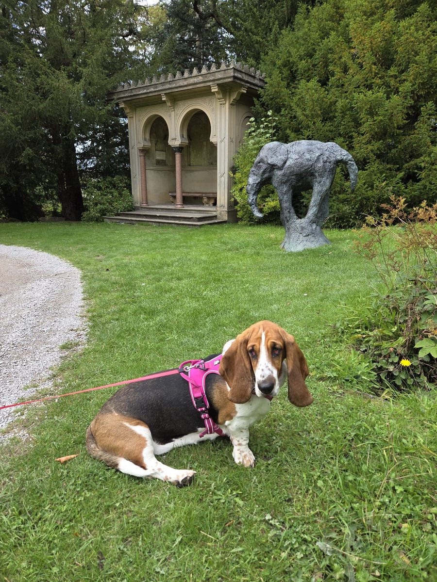 RubyMonster's tweet photo. A quick walk at Chatsworth post a Bakewell Pudding shop visit. ❤️ https://t.co/FjDEdXAJwW
