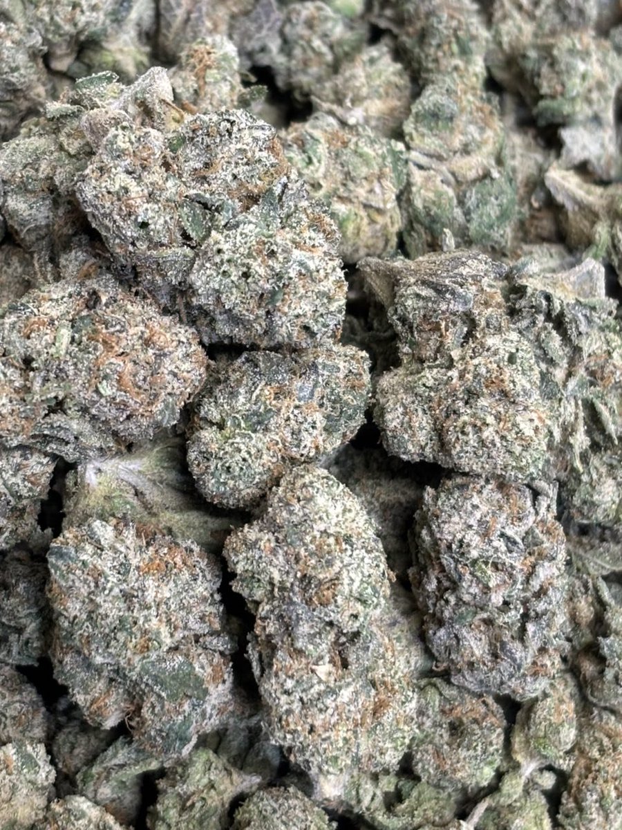 leafyuxe's tweet photo. Serving Za🐼 Weed Baltimore weed Annapolis weed ocean city weed Frederick weed silver springs weed Rockville weed Bethesda weed Hagerstown weed Gaithersburg weed humble weed Alaska weed panama city weed chariton https://t.co/L5tk8rDqb1