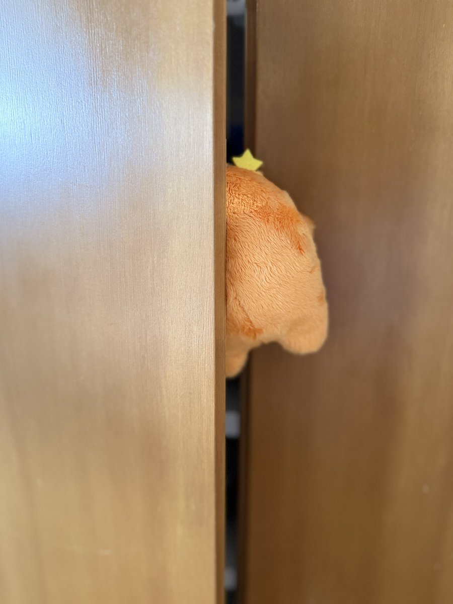 mofmof_parade's tweet photo. ⌒⌒⌒⌒⌒⌒⌒⌒⌒⌒

⚠️モフモフ侵入中⚠️

︶︶︶︶︶︶︶︶︶︶

ここはよき秘密基地。
平たいベッドでリラックス

#モフパレ
#こまモフ https://t.co/dGsgRzdCCb