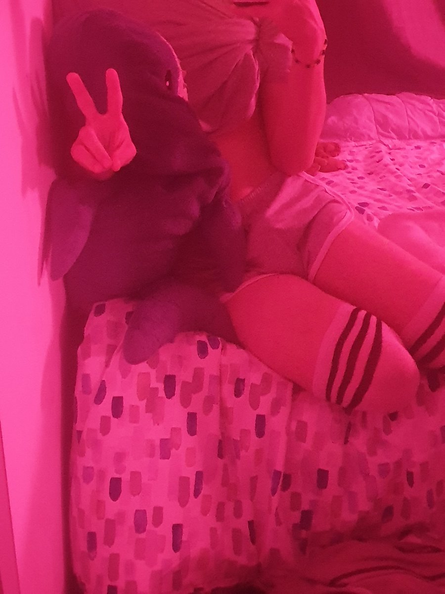 Galnu_fmb's tweet photo. Goodnight gay people :3333 
and just gn to the others ig https://t.co/8SkBcI7gh0