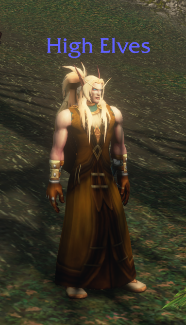 TonyBlargo's tweet photo. And you guys said that High Elves aren't playable... https://t.co/A53Cb3a5om