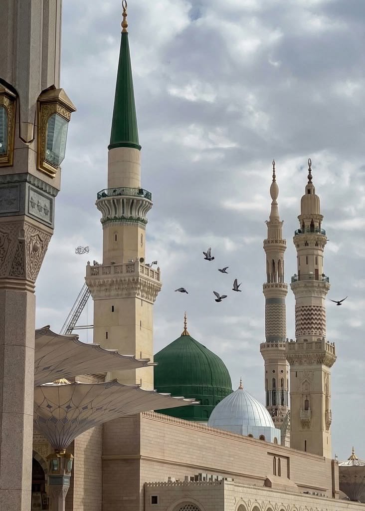 esrayldrm_ey's tweet photo. #Medine 💚🕊️ https://t.co/eK88hCViGq