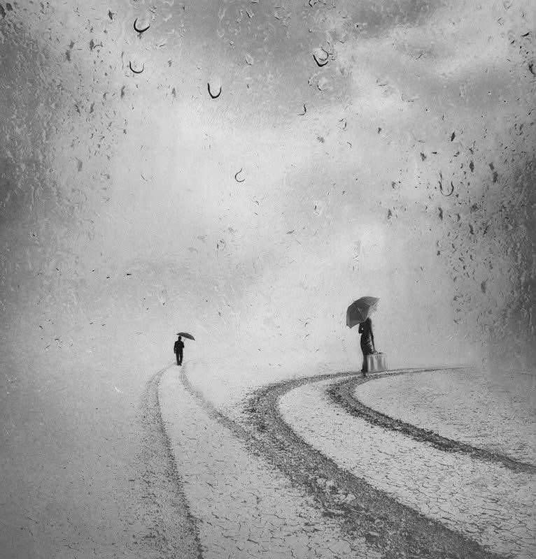 MajaSenda's tweet photo. ©Kasia Derwinska https://t.co/iNj9AYjq2H