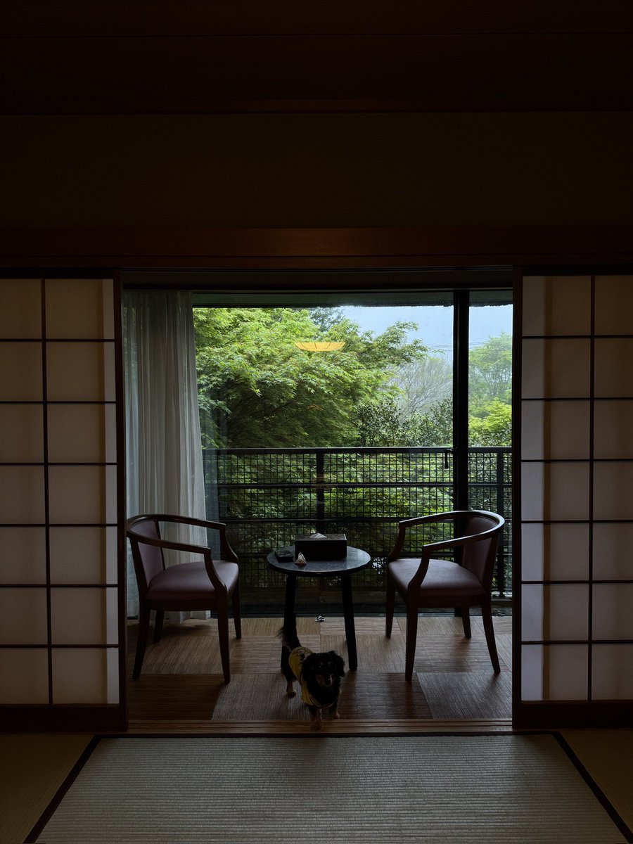 990style's tweet photo. Sometimes I miss this side of Japan https://t.co/LUfax7O9pF