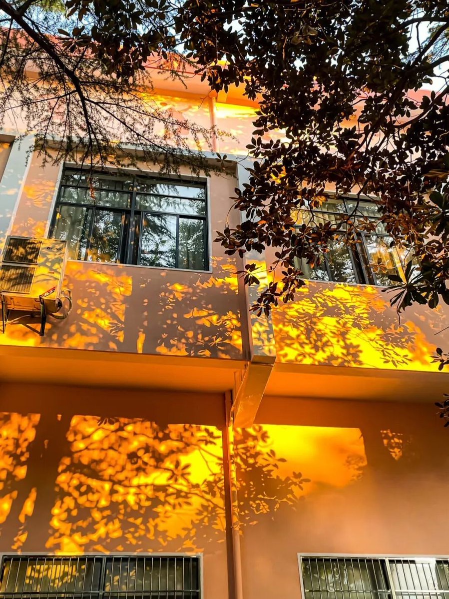 tonnymamani's tweet photo. New to photography Start with mastering natural light—shoot during golden hour (1hr after sunrise/1hr before sunset) for soft, warm tones that make any subject pop! https://t.co/iHeZF69uLL