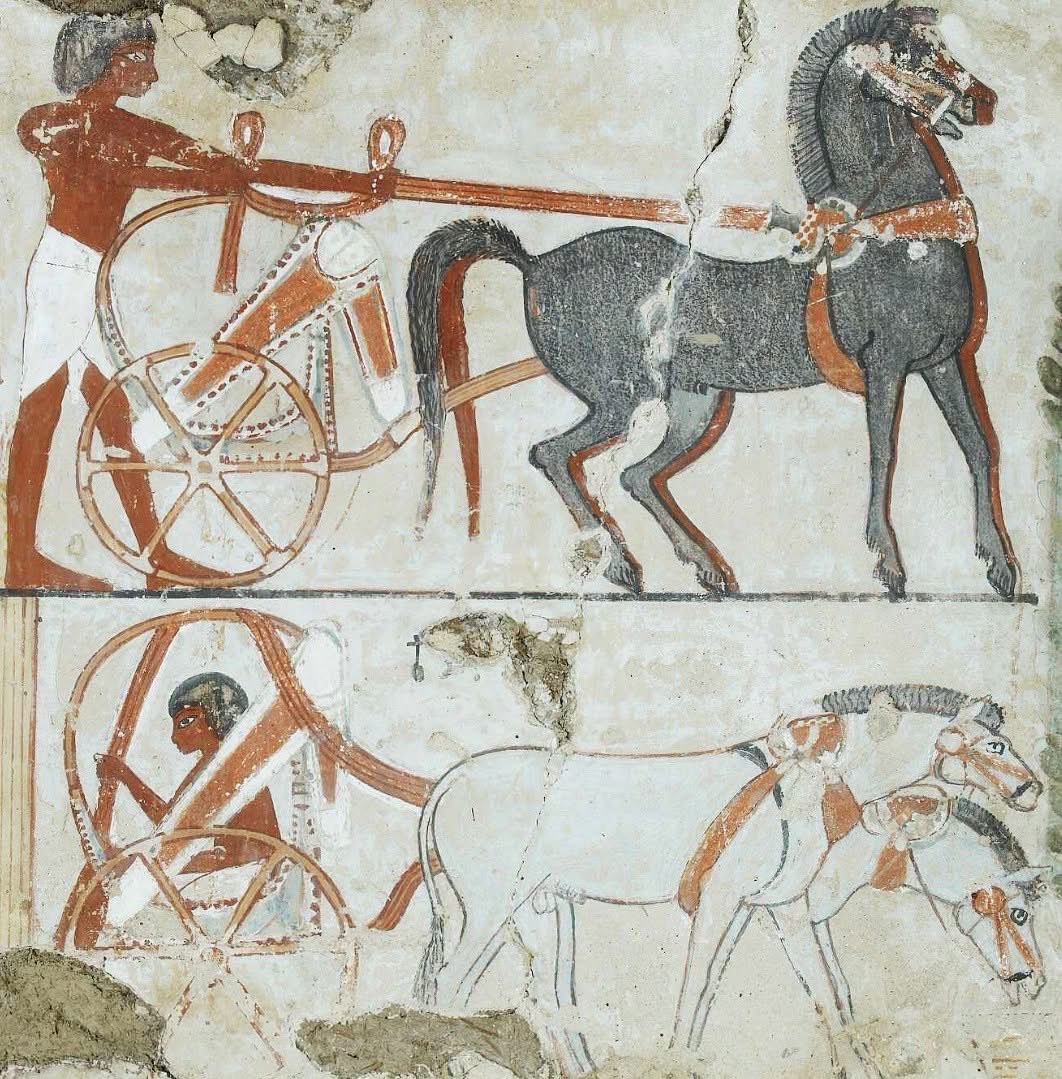 CairoEra8a4's tweet photo. 🇪🇬🐎 https://t.co/WyZ9hdVUCl