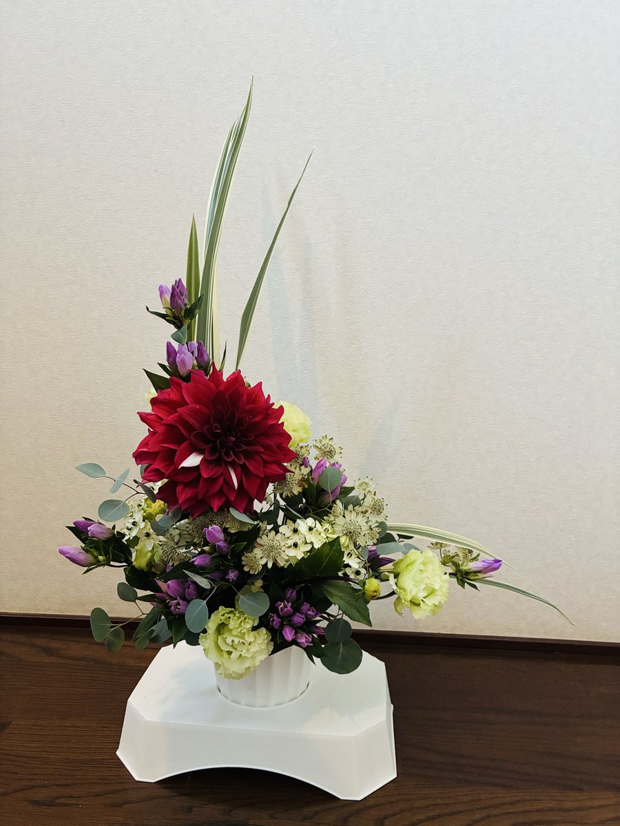 Ykflower1's tweet photo. 花を購入したのに
何日も常温でおいてしまったので
包の中でダメにしてしまった😭
赤のアンスリュームの代わりに

庭から赤のダリアをチョイス

目立ち過ぎた🤣 https://t.co/vllp7FhdMF
