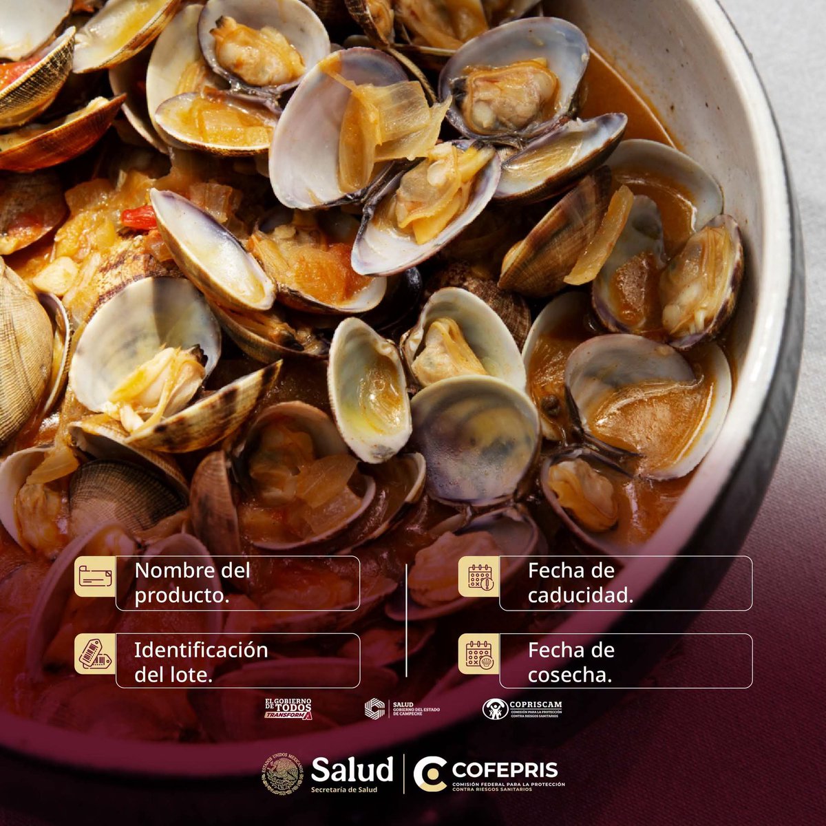 CCopriscam's tweet photo. #MoluscosBivalvos como #ostiones, #almejas, #mejillones y #callodehacha requieren control sanitario.
Al consumirse crudos o con poca cocción y filtrar grandes volúmenes de agua, pueden acumular contaminantes peligrosos. #CofeprisCuidaTuSalud https://t.co/EJpuOVLpOo