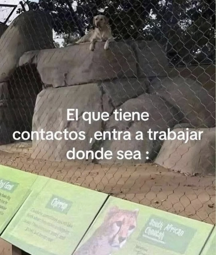 Guarromantico_'s tweet photo. A donde sea. https://t.co/ti75XeYDXv