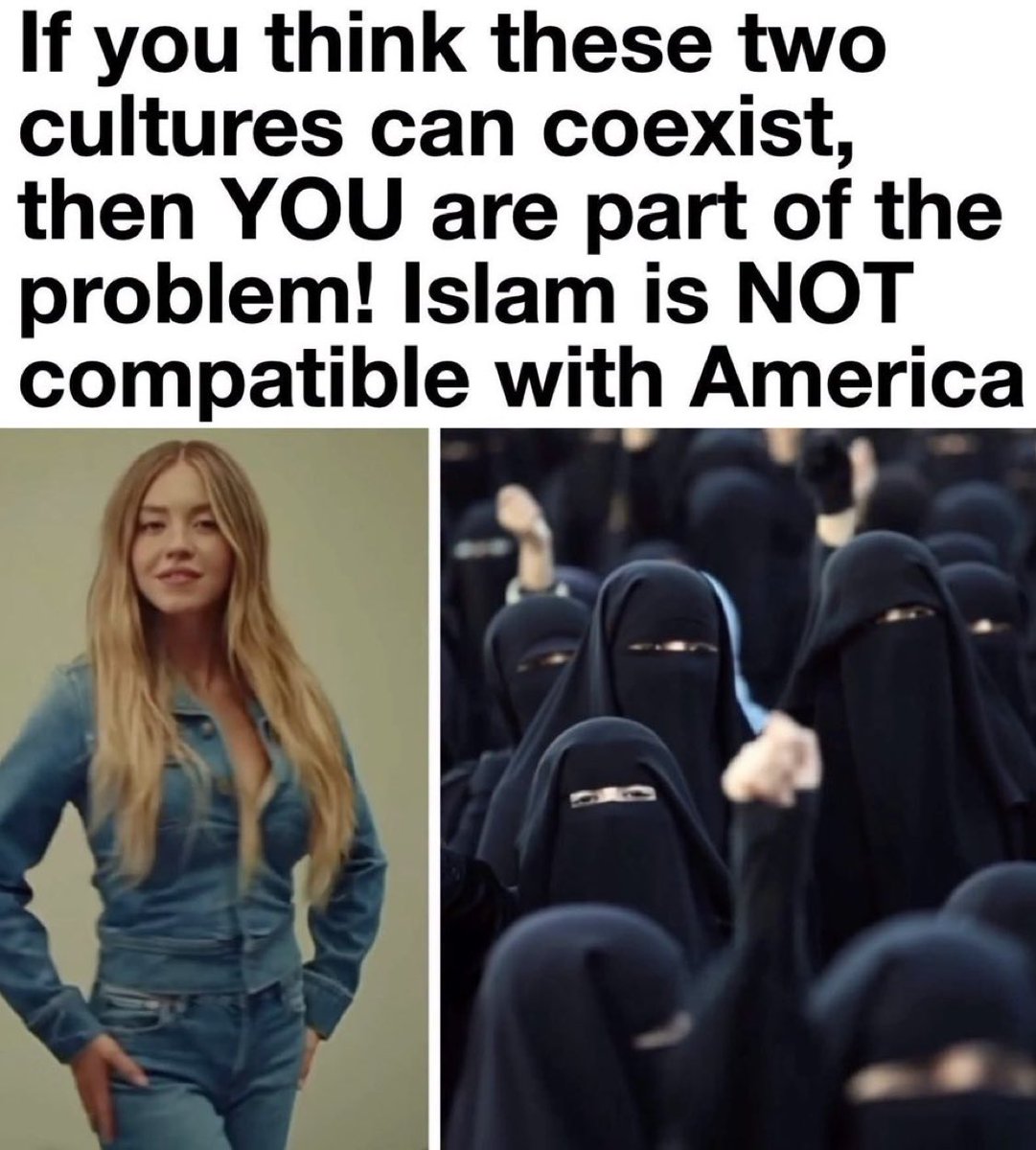 ProudElephant's tweet photo. Exactly this. Islam IS the problem! https://t.co/bpOYIsGNvJ